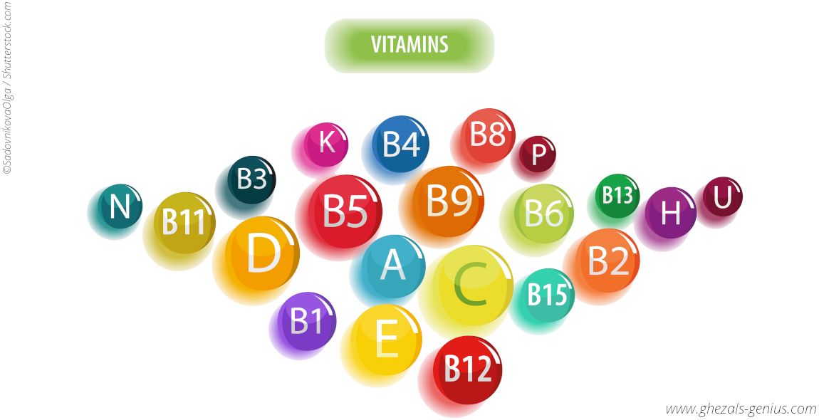 antioxidativen Wirkung, schützt das Vitamin E